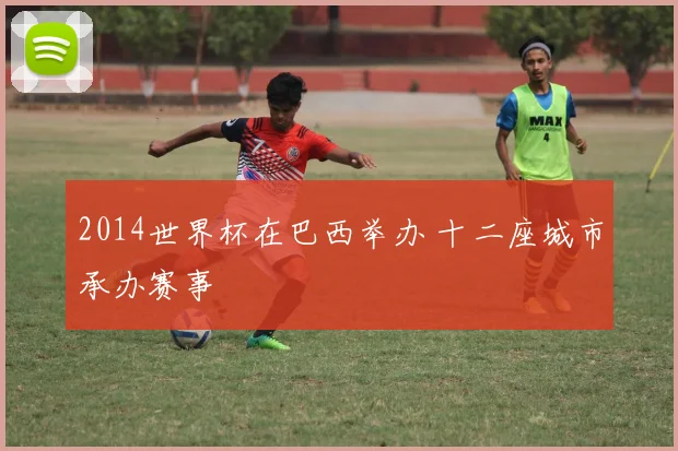 2014世界杯在巴西举办 十二座城市承办赛事