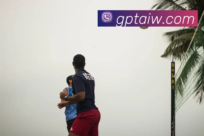 半岛网官网登录入口服务体系